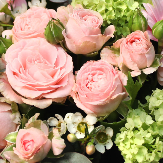 Rosaline