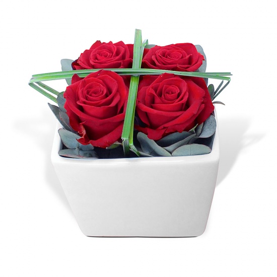 Composition de roses moderne et raffinée... Un cadeau fleurs alliant simplicité et élégance.