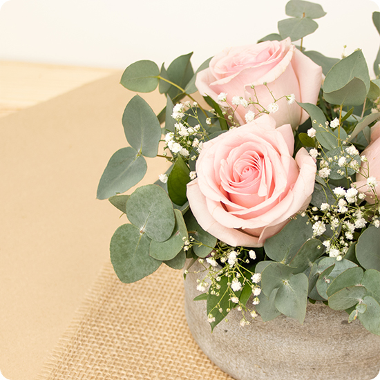 Composition de fleurs rose Velours de rose