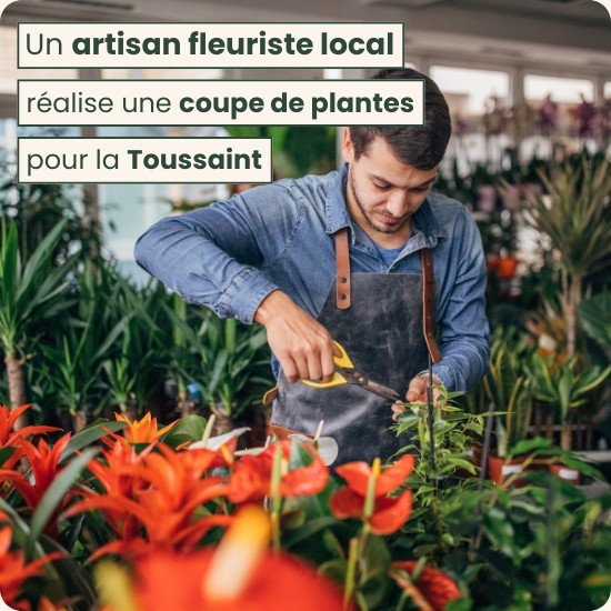 Coupe de plante du fleuriste pour deuil