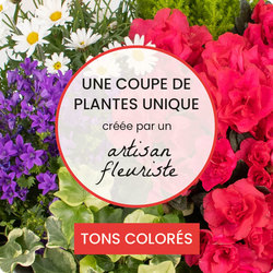Coupe de plantes du fleuriste