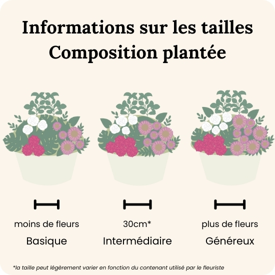 Plante fleuries de saison