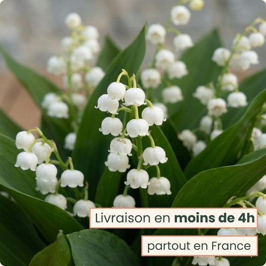 Votre composition est préparée avec attention, selon vos souhaits, en respectant le style, les couleurs et les fleurs principales que vous avez choisies.