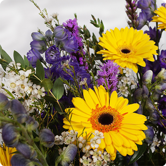 Coussin avec des gerberas et du delphinium dans les tons jaunes et violets