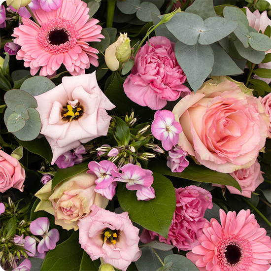 Coussin de fleurs Iris