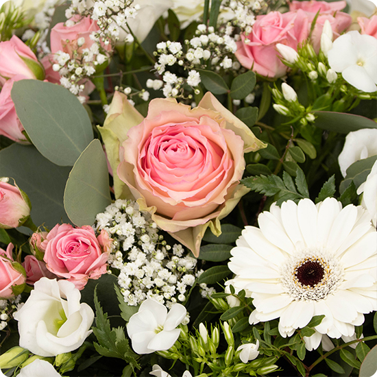 Coussin de fleurs Orion