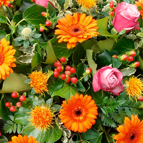 Commandez un Coussin de fleurs Oraison