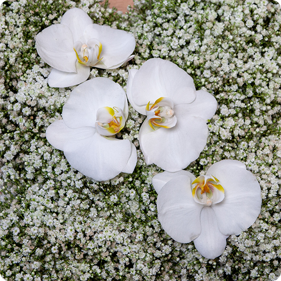 Obsèques, funérailles, hommage religieux, recueillement. Une croix florale sobre et élégante pour exprimer l’amour éternel.