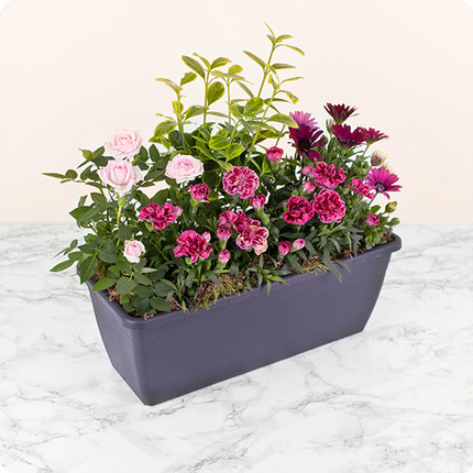 De Tout Cœur - Livraison rapide d’une composition végétale 123fleurs