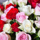 un bouquet de roses