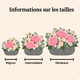 Composition de deuil Éloge, roses roses et mini-roses en coupe pierre