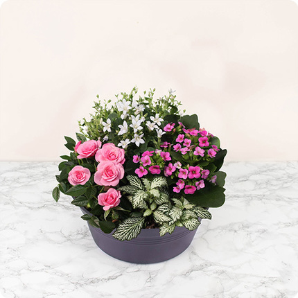 Fleurs de Cœur - Livraison rapide d’une création végétale par 123fleurs