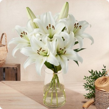 Bouquet Fleurs de Lys à Offrir - Livraison rapide avec 123fleurs