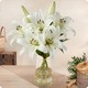 Bouquet de lys blancs à offrir – composition florale élégante 123fleurs