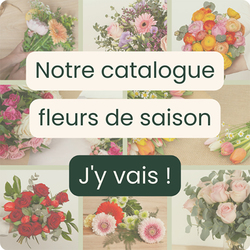 Nos fleurs de saison