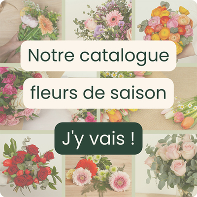 Nos fleurs de saison