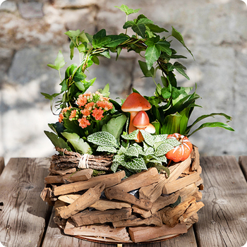 Offrez une composition végétale élégante et durable avec Forêt du Souvenir. Idéale pour un hommage extérieur. Livraison en 4h par un artisan fleuriste.