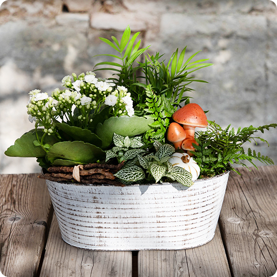 Offrez une composition végétale élégante et durable avec Forêt du Souvenir. Idéale pour un hommage extérieur. Livraison en 4h par un artisan fleuriste.