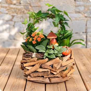 Offrez une composition végétale élégante et durable avec Forêt du Souvenir. Idéale pour un hommage extérieur. Livraison en 3h par un artisan fleuriste.