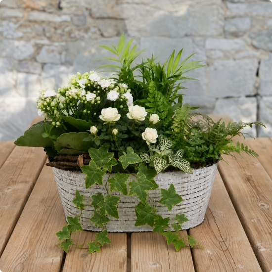 Offrez une composition végétale élégante et durable avec Forêt du Souvenir. Idéale pour un hommage extérieur. Livraison en 4h par un artisan fleuriste.