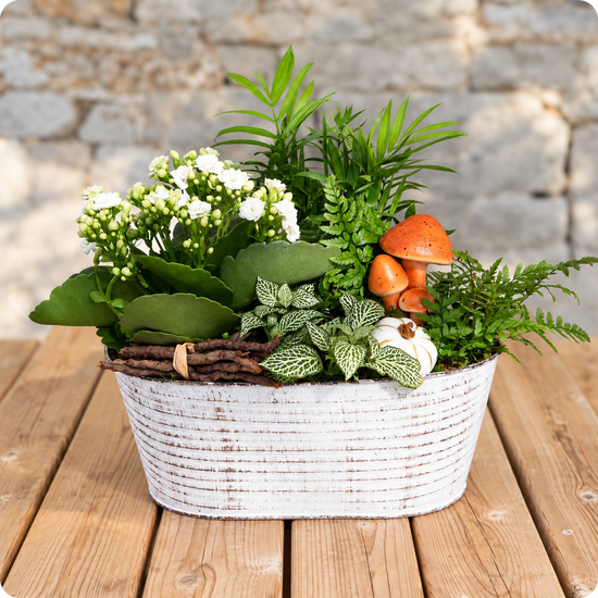 Offrez une composition végétale élégante et durable avec Forêt du Souvenir. Idéale pour un hommage extérieur. Livraison en 3h par un artisan fleuriste.