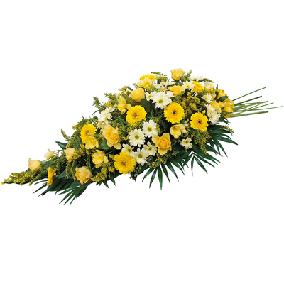 Ambre
