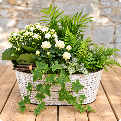 Ivoire, composition de plantes blanches et vertes, livrée en 3h