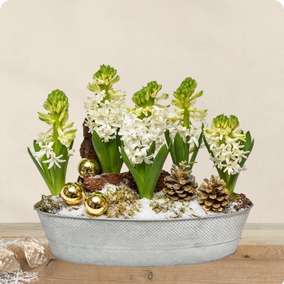 Livraison par un fleuriste 