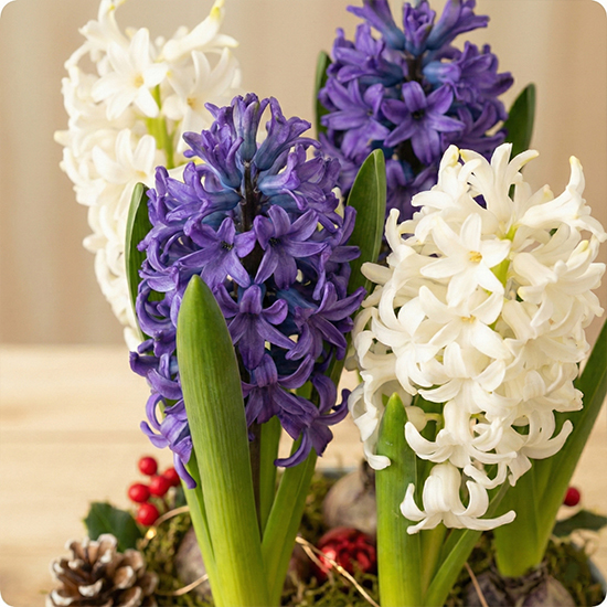 Livraison par un fleuriste 