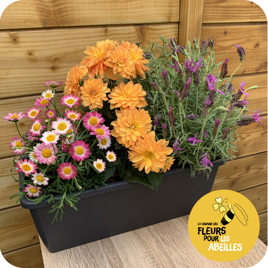 Jardinière pour les abeilles