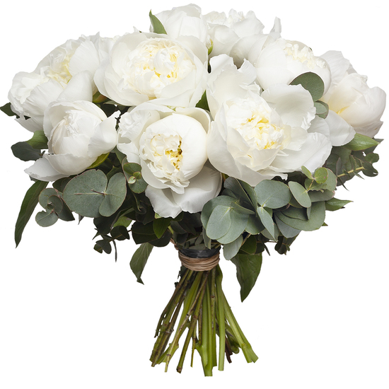  Bouquet  de  pivoines  blanches  Livraison de  fleurs 123Fleurs
