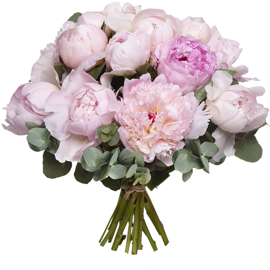Bouquet De Pivoines Roses Livraison De Fleurs 123fleurs