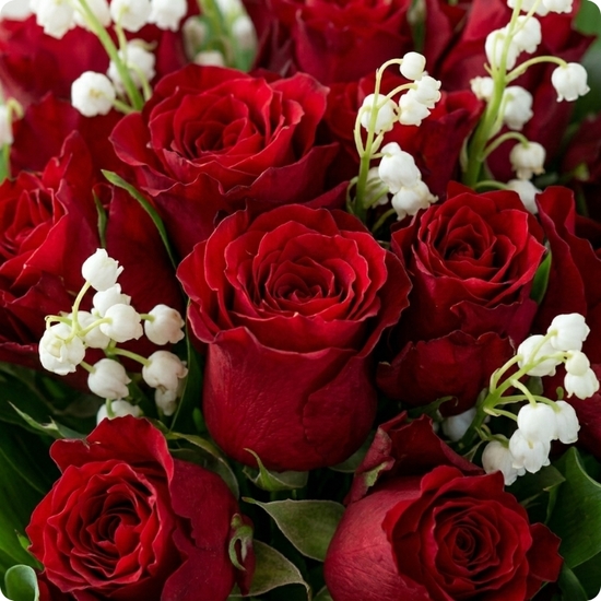 Livraison rapide le jour même partout en France, 7 jours sur 7, même les jours fériés.