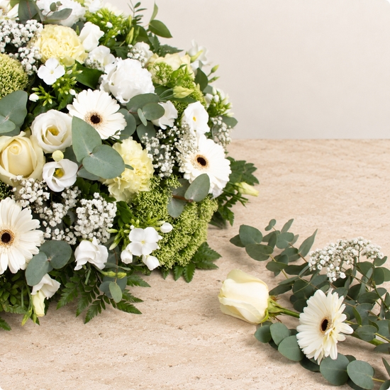 Olympia, coussin de deuil rond en roses et gerberas blancs