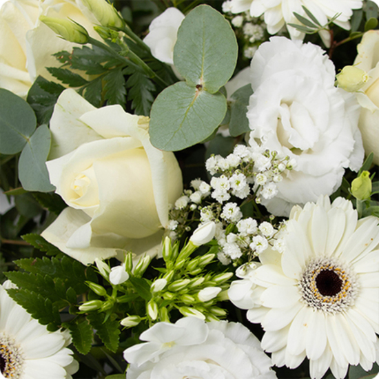 Olympia, coussin de deuil rond en roses et gerberas blancs