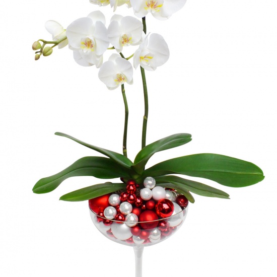 Une belle orchidée en fleur, présentée dans une coupe remplie de boules de Noël... Une décoration florale de fêtes, originale et 