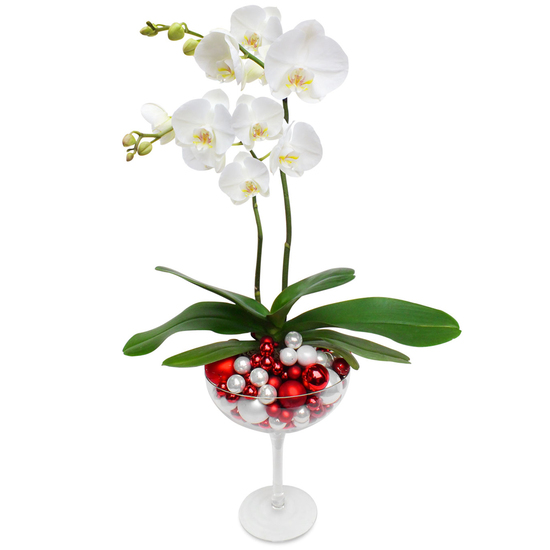 Commandez une composition d'orchidées