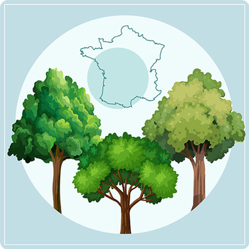 Arbre Hommage - Pack Arbres de France à planter