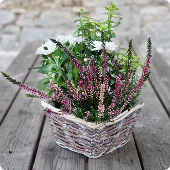 Livraison 7j/7, possible sur tombe avec 123fleurs.