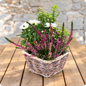 Livraison 7j/7, possible sur tombe avec 123fleurs.