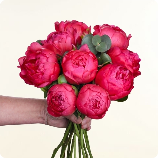 Votre bouquet est préparé avec attention, selon vos souhaits, en respectant le style, les couleurs et les fleurs principales que vous avez choisies.