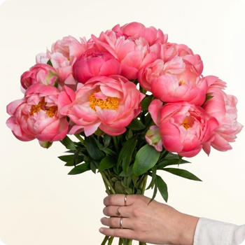 Avec 123fleurs, profitez d’une livraison rapide partout en France, 7 jours sur 7, même les jours fériés, en seulement 4 heures, pour une surprise réussie en toute simplicité.