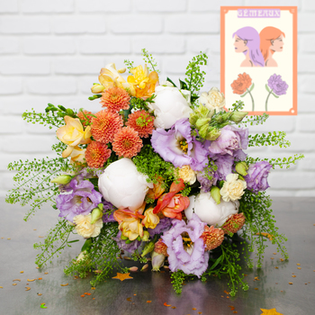 Rosier rose