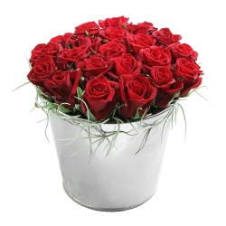 Pot aux roses