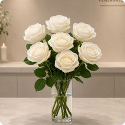 Rose blanche à la tige - fleur de deuil livrée en moins de 4h