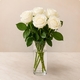 Rose blanche à la tige pour deuil et condoléances - 123fleurs