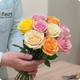 Rose multicolore ton pastel à l'unité, tige longue 60 cm 123fleurs