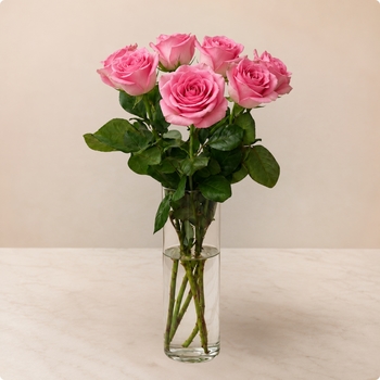 Rose rose à la tige - fleur de condoléances livrée en moins de 4h