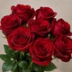 Rose rouge à l'unité, tige longue 60 cm 123fleurs