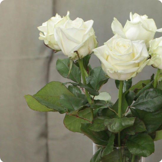 Bouquet personnalisé de roses blanches